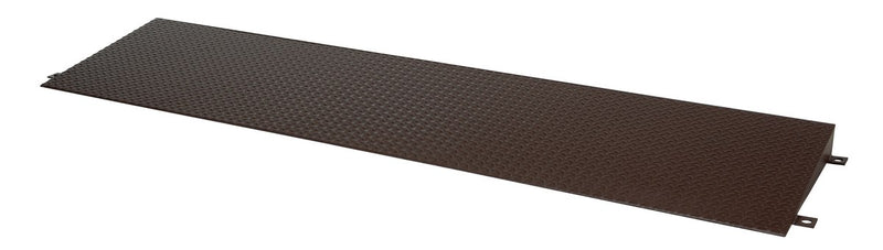 RAMP-2, RAMP-4